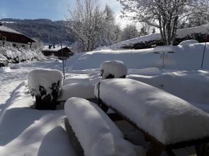Appartements CHALET VALLEE BLANCHE : photos des chambres