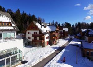 Antela appartments for up to 5 person on Mariborsko Pohorje 