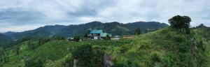 Cool Mount Resort