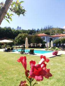 THE RIVER HOUSE - Termas Guesthouse