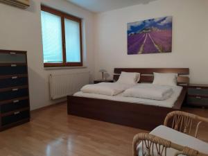 Apartm&aacute;n Kate & Jenny - two-level apartment in the Old Town Bratislava Slovensko