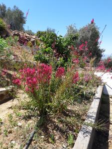 Villa Rural El Mirador
