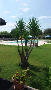 Villa Stefy apartments