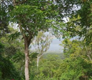 Lovestone Cottages Montville