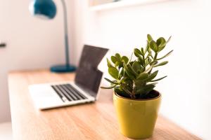 The Sunset Apartment - Margate Beach - By Goldex Coastal Breaks