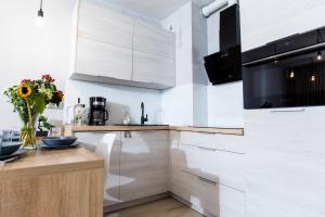 Apartament Silver Leśne Tarasy