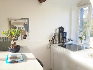 Appartements Logement entier Saint Malo vue mer, proche FERRY, commerces et plage Solidor 50 m : photos des chambres