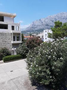 Apartment Enjoy life Makarska 2+2, center