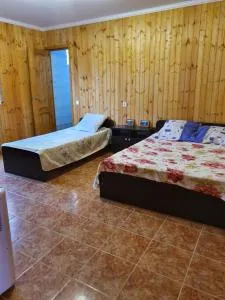 Guesthouse Kurortnaya 46 - Tsandrypsh