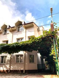 Villa Zaricin
