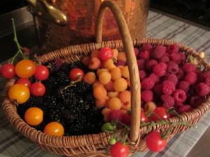 B&B / Chambres d'hotes Les Vieux Guays : photos des chambres