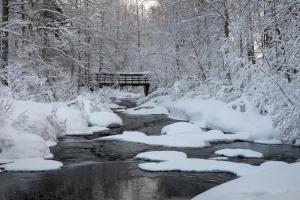 Tutkijantie 28, FI 96900 Rovaniemi, Lapland, Finland.