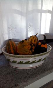 Il cortile dei frutti selvatici