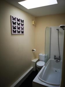 Contemporary Cottage Holidays