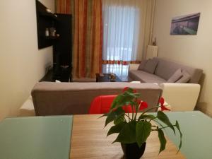 Platos Academy Apartment