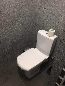 Silver Star Apartment