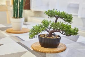 AqFel Airport Apartment