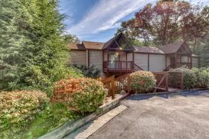 Misty Woods 03 - شوغر ماونتين