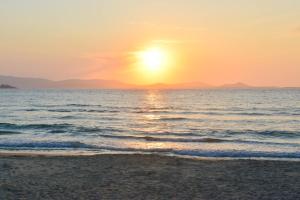 Blue Paradise Apartments Naxos Greece