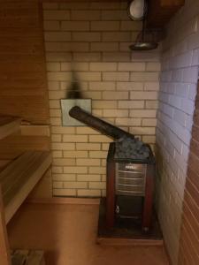 Basic Finland house with big garden