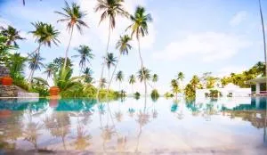 The Flame Tree Estate & Hotel - Weuda