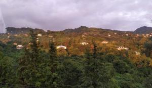 53 jincharadze street Makhinjauri, Batumi