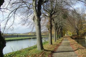 B&B / Chambres d'hotes Chateau De Serrigny : photos des chambres