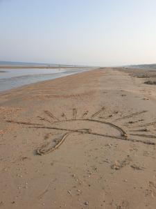 Sonnevanck Wijk aan Zee