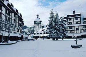 MONI Luxury Apartments