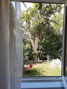 Cozy Home in the Heart of Cluj-Napoca