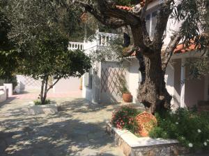 Villa Tillia Skopelos Greece