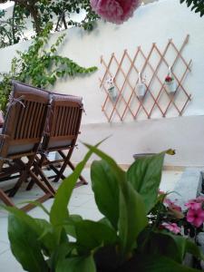 Pomegranate apartment