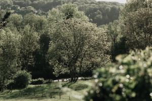 Maisons d'hotes La Dime de Giverny - Chambres d'hotes : photos des chambres