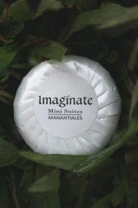 Imaginate