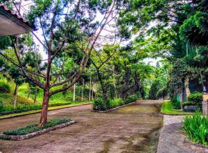 Modern 3 Bedroom Villa in a Private Complex B3