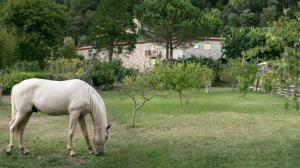 Apartman Casanova Del Monjo Arbúcies Spanyolország