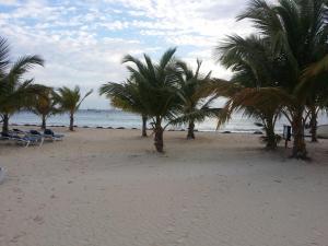 Room with fan use Bavaro Punta Cana