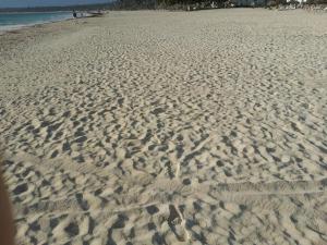 Room with fan use Bavaro Punta Cana
