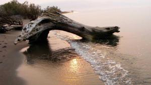 Airen Hotel Velipoje