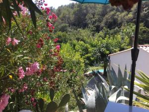 B&B / Chambres d'hotes Le Maskalou : photos des chambres