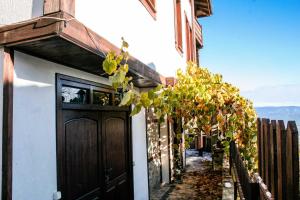 Mountain Villa with Balkan Spirit