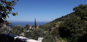 Theodoras Guest House Arkadia Greece