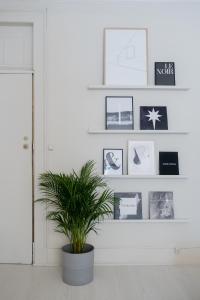 Baixa24 •P1L• Amplo estúdio na baixa com varanda