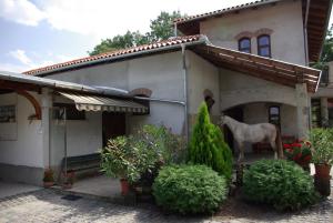 Dabasi Lovas Vendégház