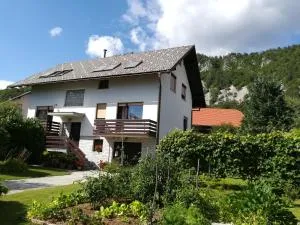 Apartment Ajdna - Zabreznica