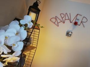 Papaver Apartament