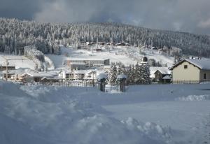 Hotels Village club de Bois d'Amont : photos des chambres