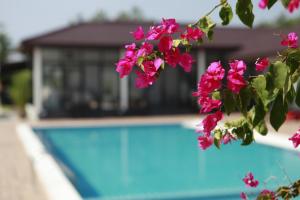 KK Garden Family Resort