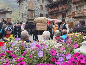 Maisons d'hotes Chalet Le Bois Joli : photos des chambres