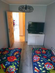 Apartament Śnieżka